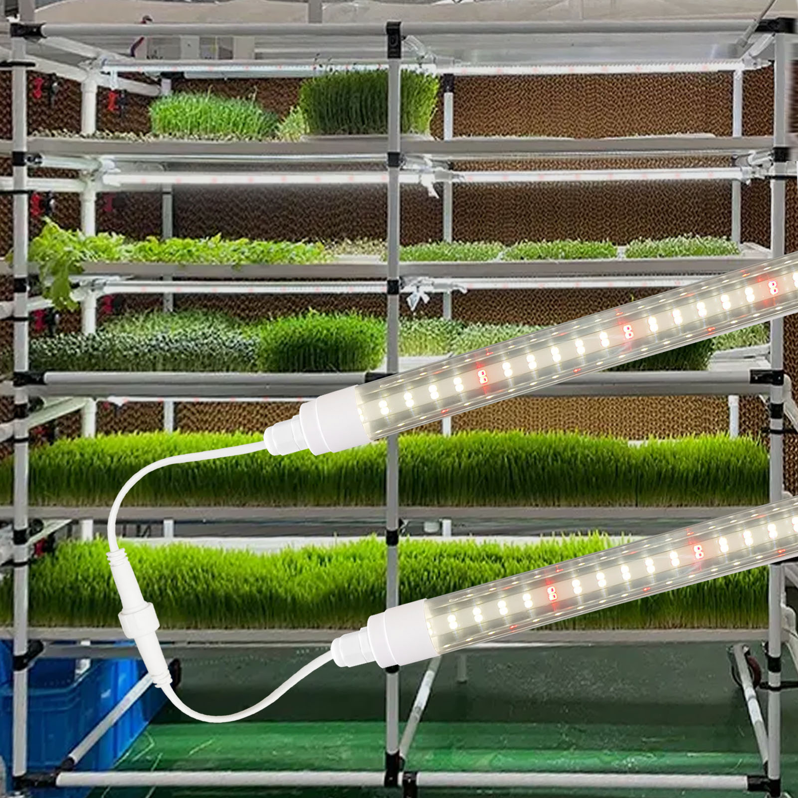 Liweida 0.6m 2ft full spectrum t8 led tu